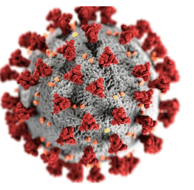 Cytomegalovirus IgM Antibody